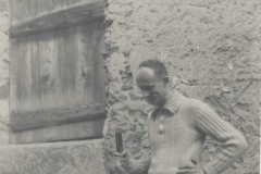 IL COTURNARO